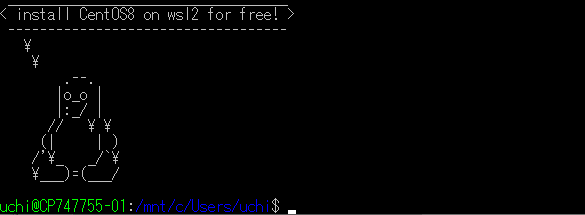 wsl2上で無料でCentOS8を動かそう
