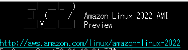 AmazonLinux3じゃなくってAmazon Linux 2022 (AL2022) だってさ。