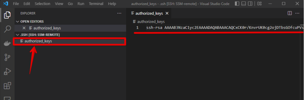 AWS Systems Manager セッションマネージャー越しでVS CodeのRemote-SSHを使用する | ソフトウェア開発の ...