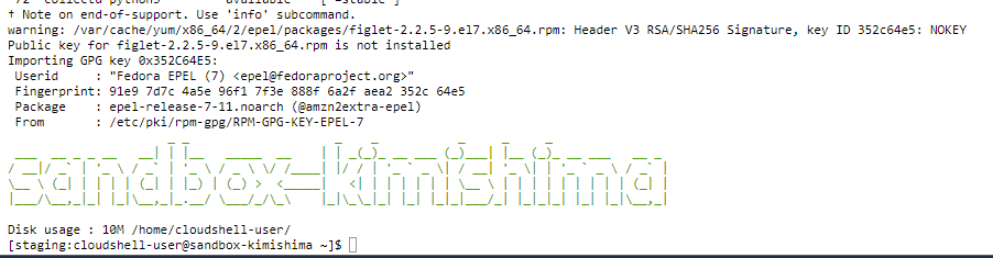 AWS CloudShellで環境を混同しないための工夫をしてみた